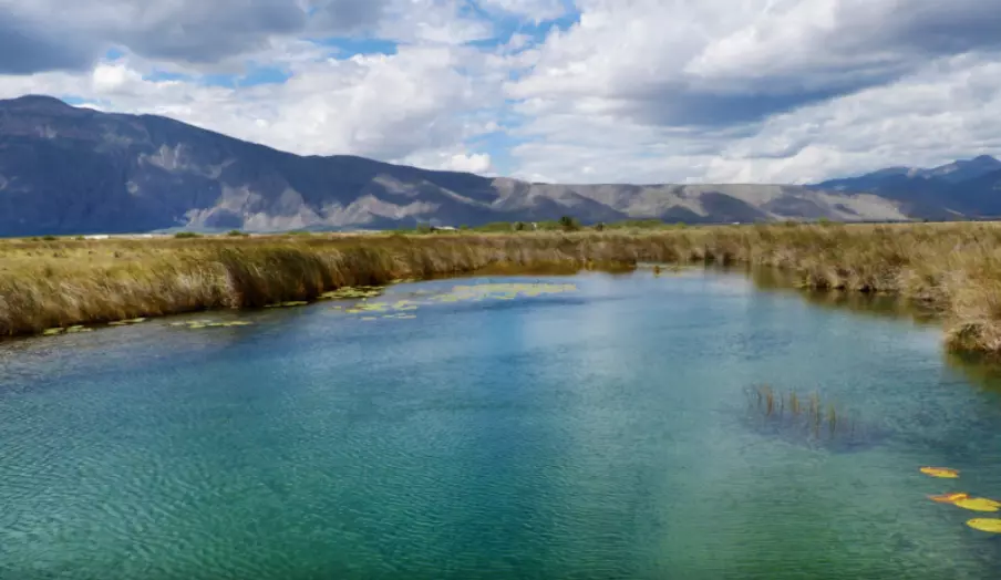 En estas acciones participan de manera coordinada la Comisión Nacional del Agua (Conagua), la Procuraduría Federal de Protección al Ambiente (Profe