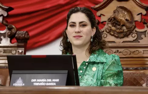 La iniciativa presentada por la diputada María del Mar Trevino Garza refiere que estos productos tuvieron su origen en 1963.