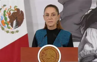 La Presidenta considera que se incluían artículos adicionales que no eran necesarios