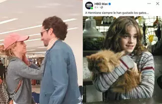 La plataforma de streaming se sumó a las tendencias de redes sociales con un comentario burlesco que dividió opiniones