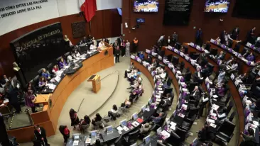 Senadores del PT y PVEM anunciaron su apoyo al Plan B de la reforma electoral impulsado por la presidenta Claudia Sheinbaum