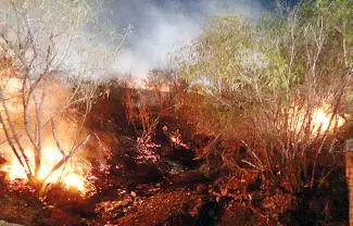 Una serie de incendios registrados la noche de ayer, movilizó a elementos de Bomberos y Protección Civil