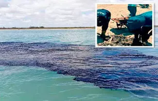 En tanto, el crudo y el chapopote han llegado a más de 600 kilómetros de playas de Tabasco y Veracruz