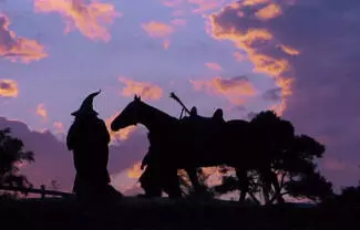 La trama adelantada por el medio especializado Variety señala que 14 años después de la muerte de Frodo, Sam, Merry y Pippin