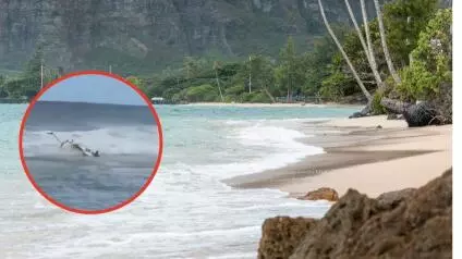 La aeronave llevaba a cinco personas a bordo, pero las autoridades no han revelado sus identidades