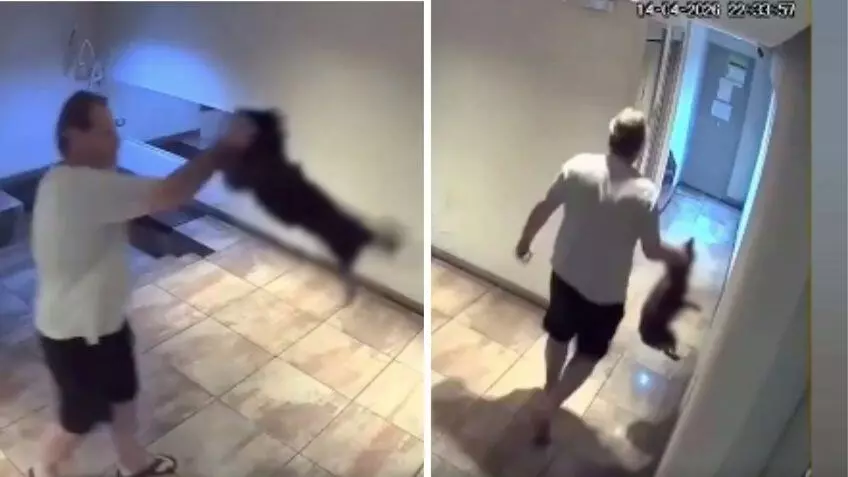  Las denuncias son gratuitas y se realizan en comisarías, fiscalías o juzgados