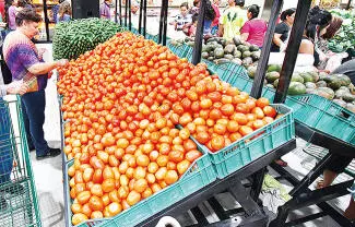 Esperan que las empresas anunciadas, en proceso de construcción, puedan arrancar operaciones en dos o tres meses