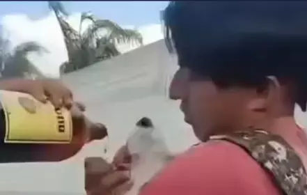 De acuerdo con reportes preliminares, el caso ya es analizado por instancias correspondientes