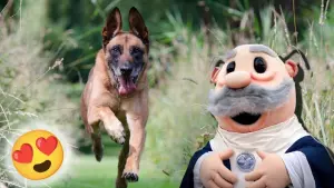 La escena transcurre con normalidad hasta que, al aproximarse a una esquina, el perro fija su atención en una figura que baila frente a una farmacia