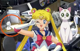 Los aficionados de Sailor Moon notaron que el peluche del gato de Minako (Sailor Venus) aparece en la transmision en vivo oficial de la NASA