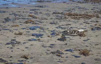 Las protestas están planeadas para realizarse el domingo 5 de abril.