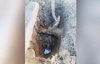 Propietarios de quintas, ranchos y viviendas de los ejidos Fresnillo y Pozuelos, conectan mangueras de poliducto a la línea principal para robar agua