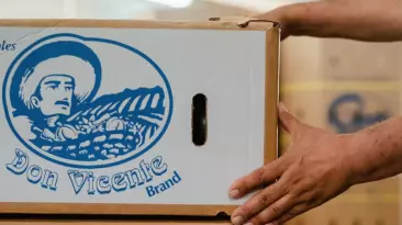 Un sobrino de Ismael “El Mayo” Zambada sufrió el bloqueo de cuentas de su empresa por movimientos sospechosos.