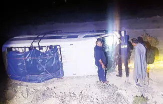 Un coyote se atravesó al paso del vehículo y el conductor perdió el control