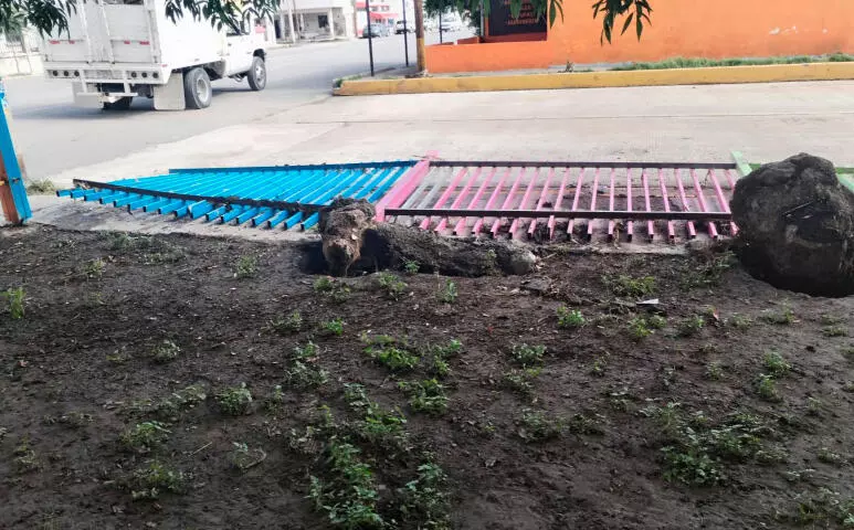 El compromiso es concluir los trabajos a tiempo para que el lunes los alumnos regresen a sus aulas de forma normal.