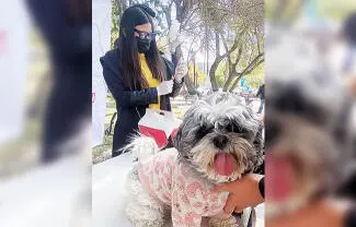 El Gobierno Municipal de San Buenaventura, invitan a la población a participar en la Campaña de Cuidado y Protección Animal.
