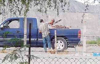 Están afectando la biodiversidad y la flora en el lugar