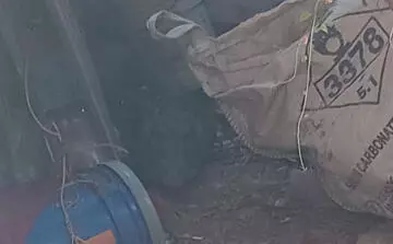 El animal quedó bajo resguardo del Ecoparque, instancia que se encargará de su revisión, alimentación y atención veterinaria.