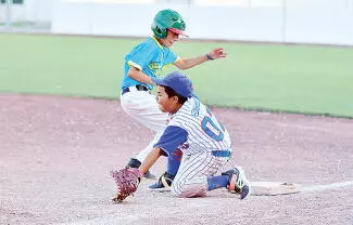 Los Bravos desplegaron una ofensiva de 19 imparables para imponerse por pizarra de 16 carreras por 3 sobre los Pericos.