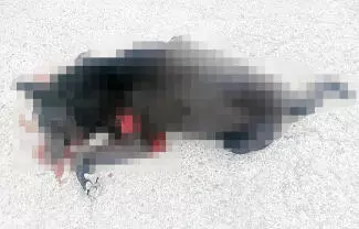 El director de Seguridad Pública, Christian Venegas informó que si bien el hecho trascendió en redes sociales, no existe hasta el momento una denuncia