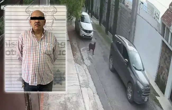 Detienen en Saltillo a hombre acusado de atropellar perritos en Lomas de Lourdes
