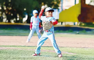 La Liga de Beisbol Infantil Juvenil Furiazul dio a conocer los standings generales de cada una de sus categorías