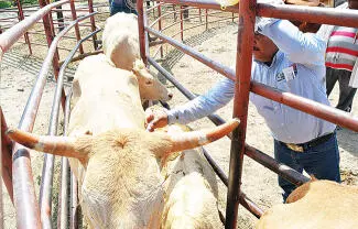 Autoridades de Desarrollo Rural en San Buenaventura se mantienen a la espera de indicaciones oficiales para implementar acciones preventivas
