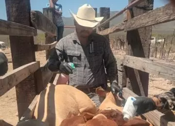 El líder pecuario señaló que el equipo técnico ya desocupó el centro operativo provisional y se dirige a la región Carbonífera para frenar la e