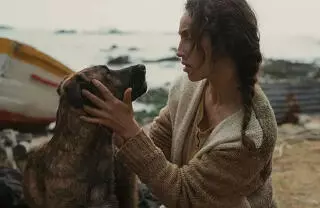 Creado en 2001 al margen del Festival de Cannes, este premio informal distingue las mejores actuaciones caninas en la pantalla.