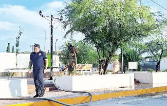 Un enjambre de abejas fue detectado rondando cerca de una escuela primaria, en la colonia Hipódromo