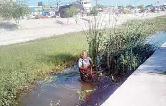 Se han retirado 4.2 toneladas de residuos del lecho y márgenes, entre llantas, maleza, plástico PET y basura arrastrada por las lluvias