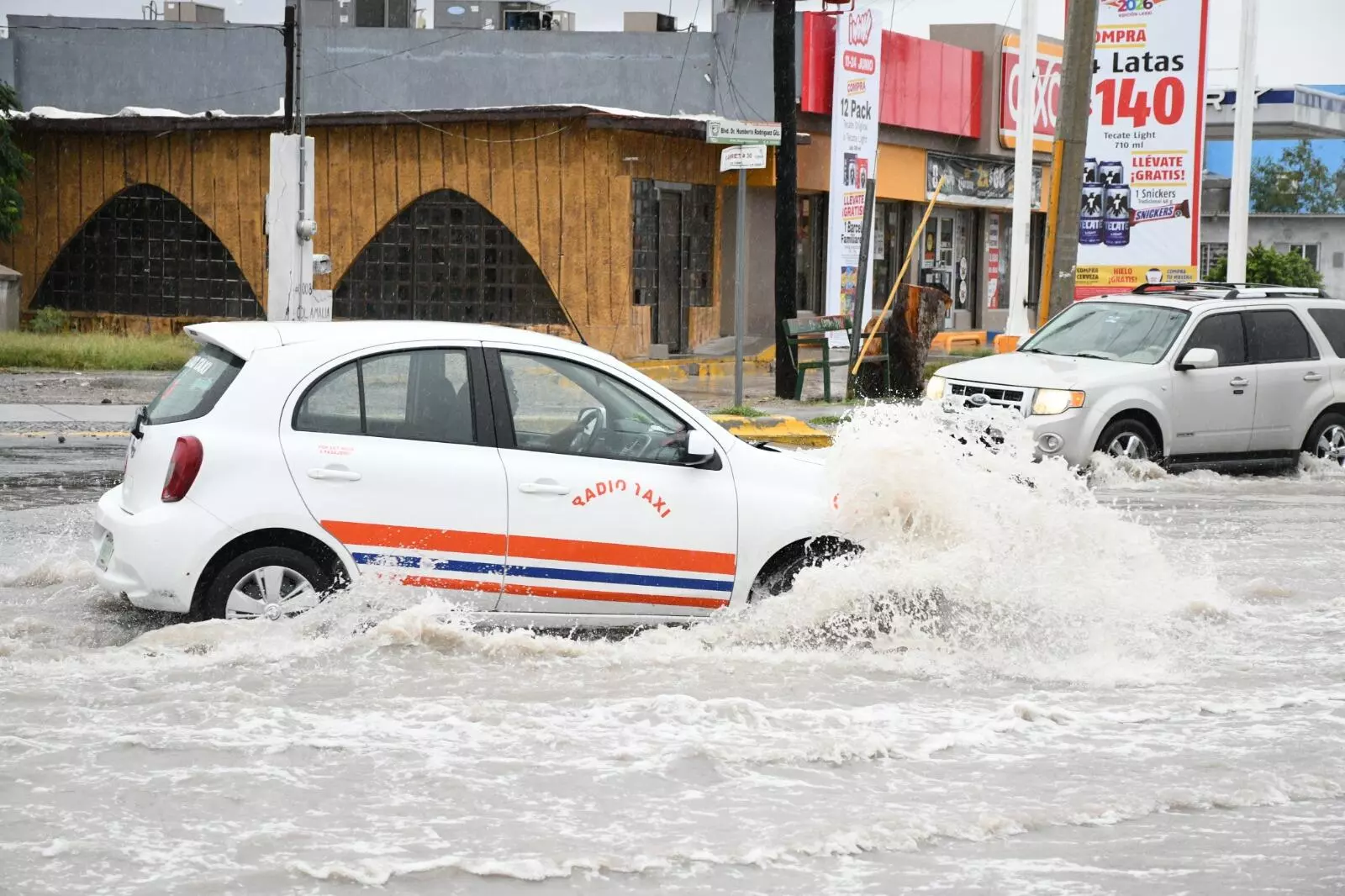 Las precipitaciones de los últimos días ya comienzan a reflejarse en la recuperación de los terrenos 