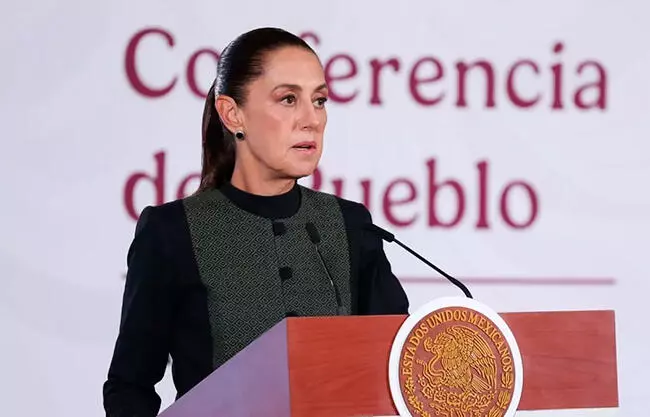 La Presidenta explicó que la decisión deberá conocerse tras la reunión virtual que sostendrán mañana miércoles