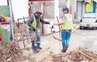 Viviendas inundadas, vehículos varados, árboles caídos, rescates de personas y afectaciones en infraestructura urbana