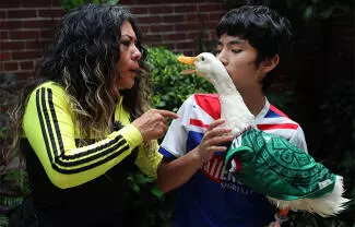 El pato Merlín se ha convertido en un fenómeno viral en lo que va de la Copa Mundial de la FIFA 2026