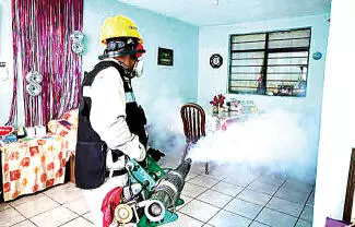 Autoridades municipales llevan a cabo acciones de fumigación y limpieza