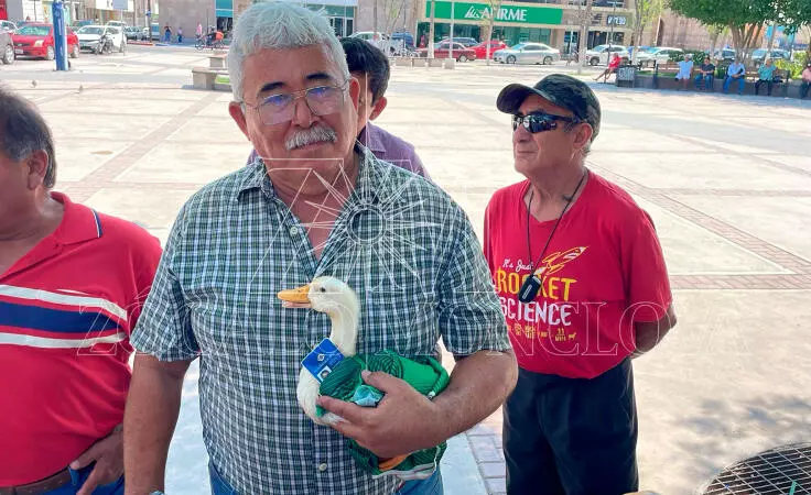 Entre comentarios irónicos, señalaron que el ave podría convertirse en la llave para llegar ante la presidenta Claudia Sheinbaum y finalmente encontrar una solución a su situación.
