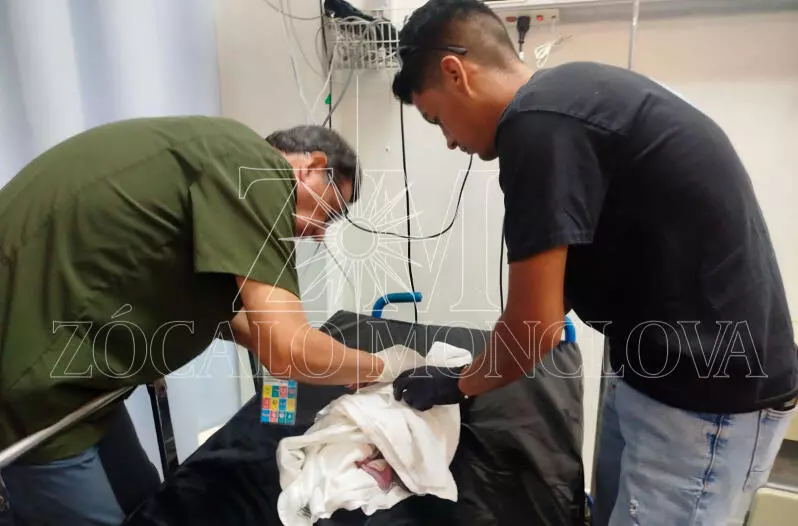 El recién nacido permanece bajo resguardo del Pronnif mientras se lleva a cabo el proceso de documentación correspondiente previo a su registro.