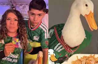 Merlín, el pato que se hizo viral al acompañar a su familia a trabajar usando una camisa de la Selección Mexicana