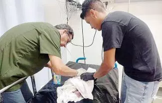 La delegada dijo que existen alternativas legales para quienes no desean ejercer la paternidad o maternidad, como acudir a la PRONNIF para recibir orientación o entregar el consentimiento de adopción.