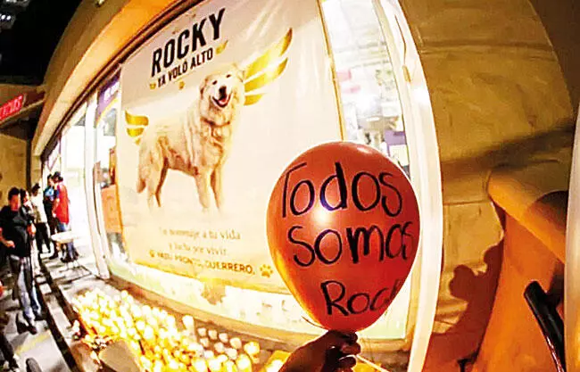 La historia de Rocky y las redes sociales