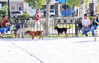 Como resultado del trabajo preventivo que se realiza en coordinación con la Jurisdicción Sanitaria