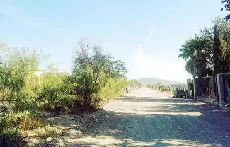 Las recientes precipitaciones pluviales registradas en la región, salvaron el ciclo agrícola de temporal