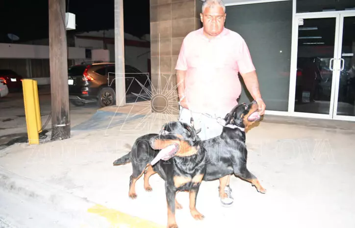 La Policía Municipal acudió al reporte, sobre el bulevar Francisco I. Madero.