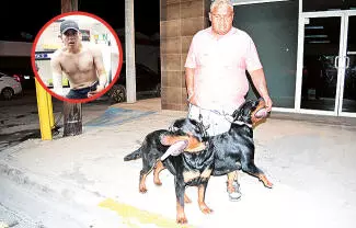 El macho le mordió el brazo derecho, mientras que la hembra lo lesionó en una pierna