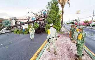 Piden estar atentos a las recomendaciones de Protección Civil para evitar accidentes con caída de árboles y espectaculares