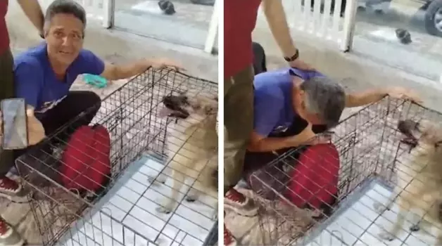 En el video se observa el momento en que el dueño llega a un refugio o centro de resguardo para animales y descubre que su mascota fue rescatada con vida. 