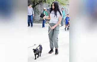 Debe ciudadanía cuidar sus mascotas y mantener sus patios limpios, reiteró el doctor Faustino Aguilar