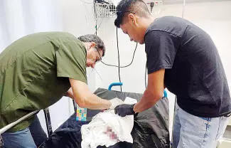 El DIF respaldará en todo momento al bebé