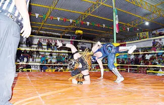 Regresará el exótico más viral; la reina de las redes sociales, Mamba, estará protagonizando la pelea estelar en la Catedral de la Lucha Libre